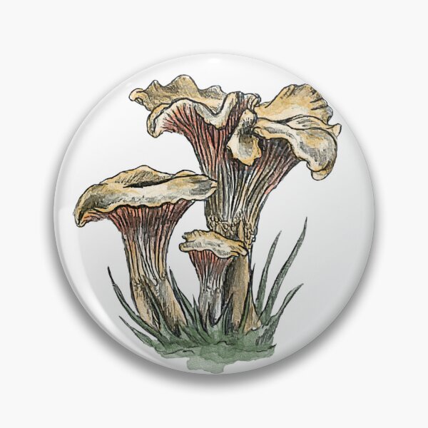 Item preview, Realistic Chanterelle Mushroom – Pencil and Watercolor Botanical Nature Art designed and sold by SaskiaFranken.