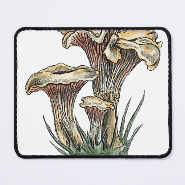 Item preview, Realistic Chanterelle Mushroom – Pencil and Watercolor Botanical Nature Art designed and sold by SaskiaFranken.