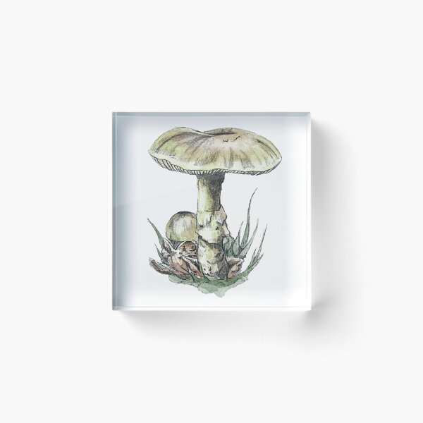 Item preview, Death Cap Mushroom – Realistic Pencil and Watercolor Botanical Illustration designed and sold by SaskiaFranken.