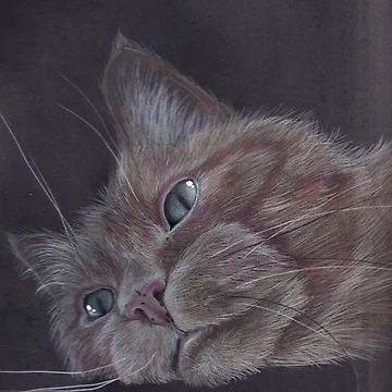 Artwork thumbnail, Ruby - ginger cat by Laura Hillman