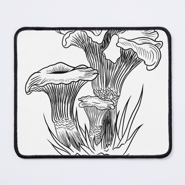 Item preview, Chanterelle Mushroom – Detailed Botanical Line Art designed and sold by SaskiaFranken.