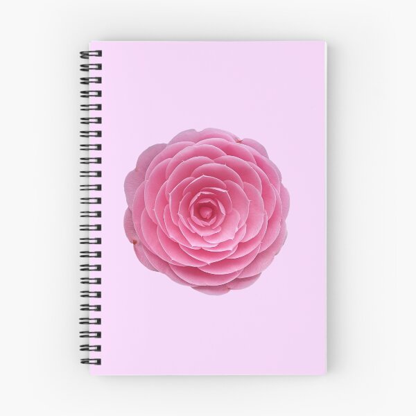 Aperçu de l'œuvre Fleur rose créée et vendue par Eric's Designs.