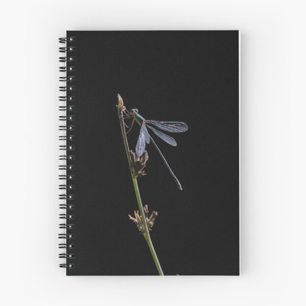 Item preview, Frozen reality - Beautiful nature 1059 designed and sold by deep-sea-birds.