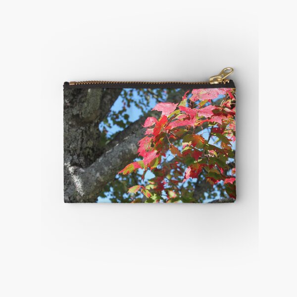 Item preview, Old maple tree and its leaves designed and sold by naturematters.