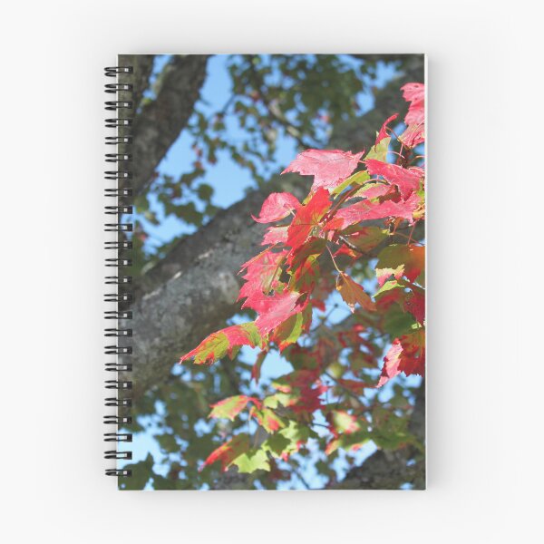 Item preview, Old maple tree and its leaves designed and sold by naturematters.