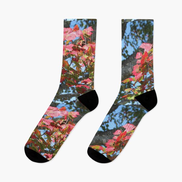 Item preview, Old maple tree and its leaves designed and sold by naturematters.