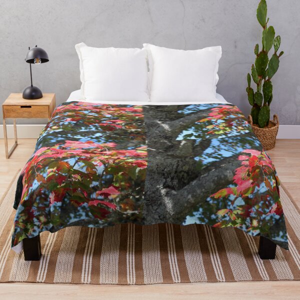 Item preview, Old maple tree and its leaves designed and sold by naturematters.