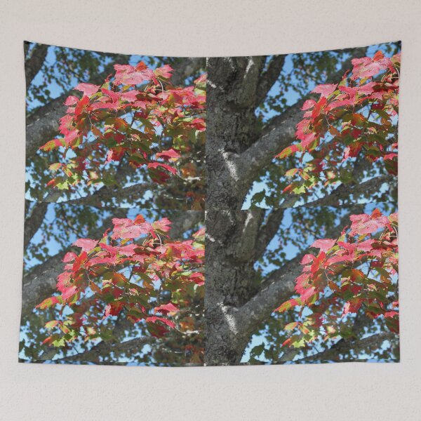 Item preview, Old maple tree and its leaves designed and sold by naturematters.