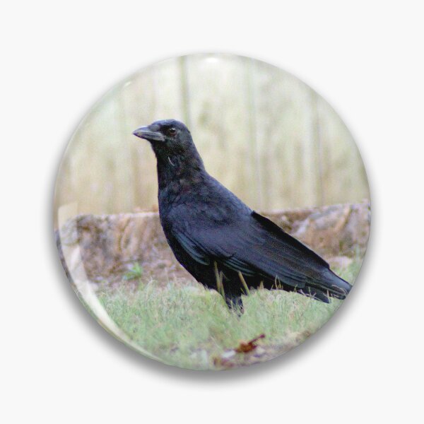 Item preview, Suspicious Crow designed and sold by gistinker.