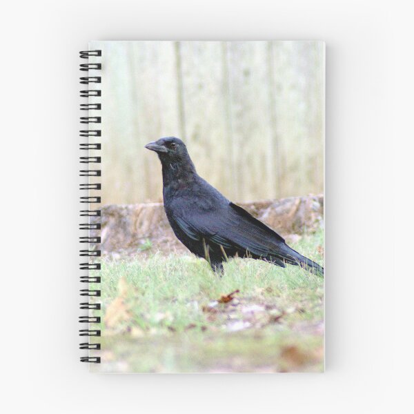 Item preview, Suspicious Crow designed and sold by gistinker.