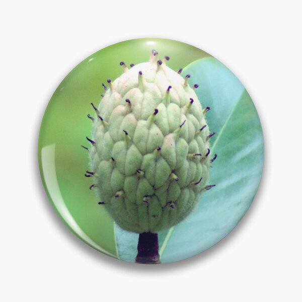 Item preview, Southern Magnolia Seed Pod designed and sold by gistinker.