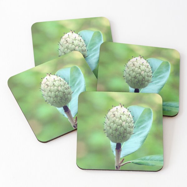 Item preview, Southern Magnolia Seed Pod designed and sold by gistinker.