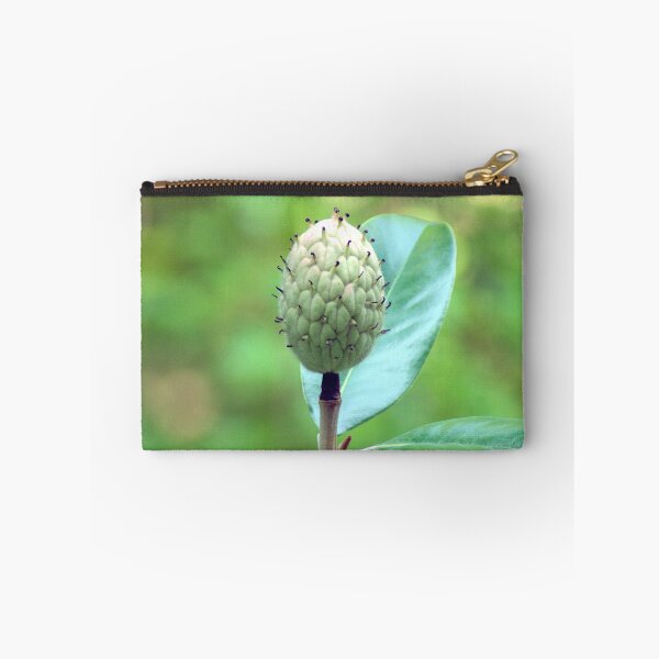 Item preview, Southern Magnolia Seed Pod designed and sold by gistinker.