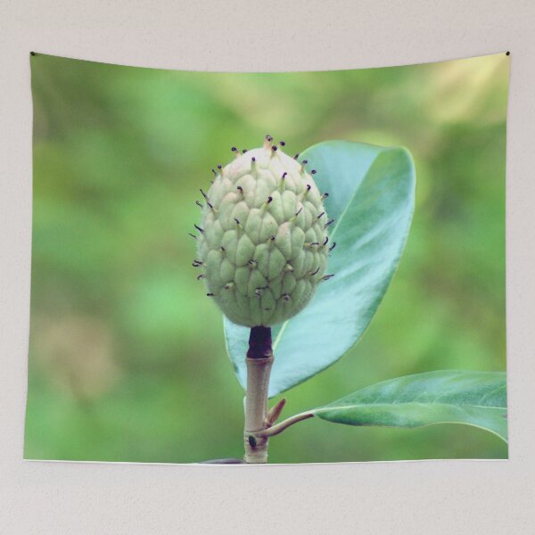 Item preview, Southern Magnolia Seed Pod designed and sold by gistinker.