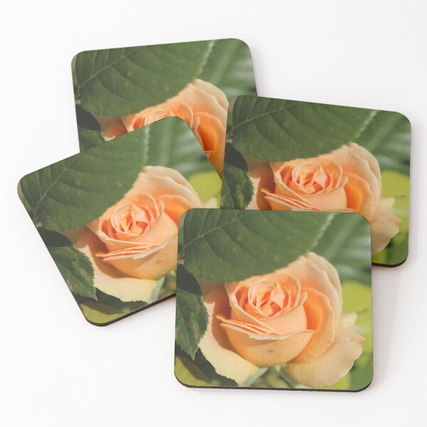 Item preview, Soft light pink rose macro - Romantic botanical photography designed and sold by Cha-s-lens.