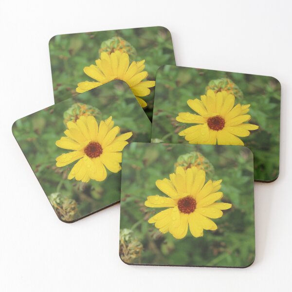 Item preview, Bright yellow calendula macro with raindrops - Vibrant botanical photography designed and sold by Cha-s-lens.