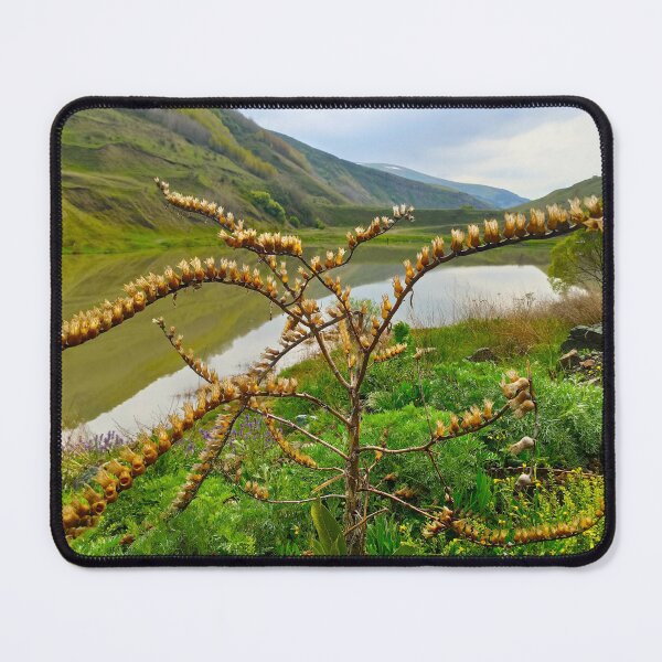 Item preview, Rustic Armenia: Dried Wildflower & Lake designed and sold by Levorr.