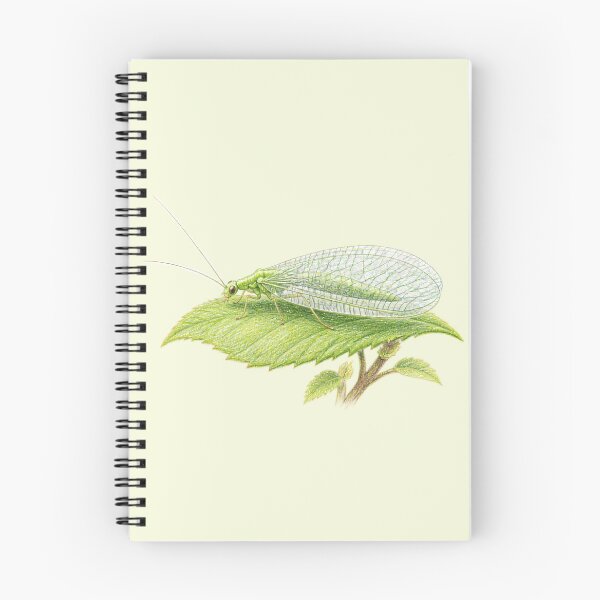 Item preview, Green Lacewing Vintage Naturalist Study designed and sold by BloomStudio1.