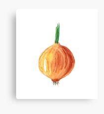 Watercolor onion Canvas Print