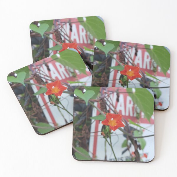 Item preview, Red Morning Glory Under Surveillance  designed and sold by concretebotany.