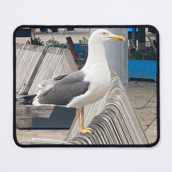 Item preview, Seagull in Hull designed and sold by Cal Fraser Grant.