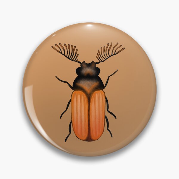 Item preview, Ptilinus pectinicornis (fan-bearing wood-borer beetle) designed and sold by Strataes.