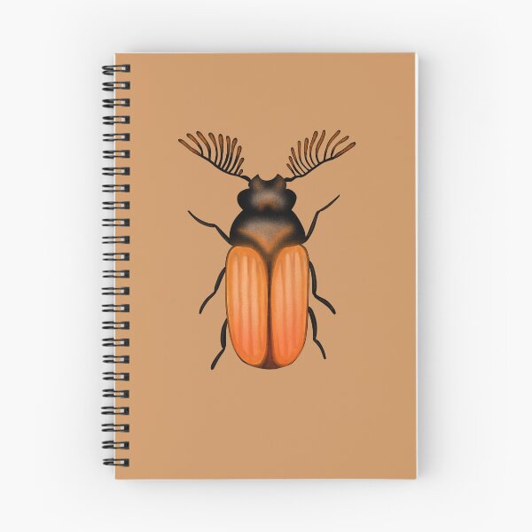 Item preview, Ptilinus pectinicornis (fan-bearing wood-borer beetle) designed and sold by Strataes.