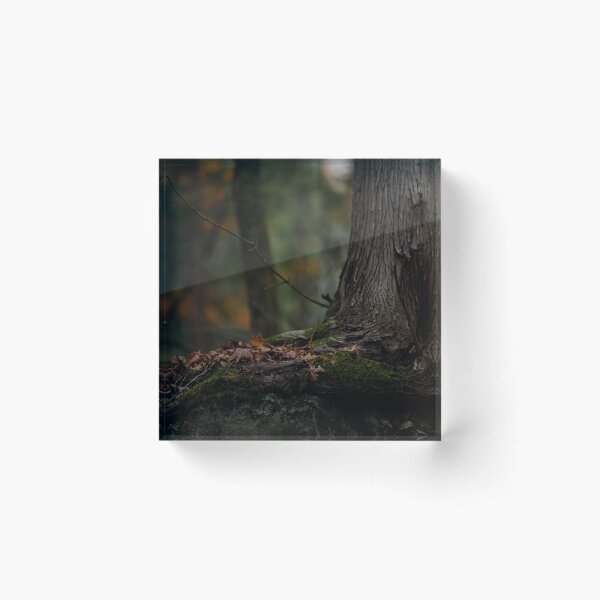 Item preview, Tree in the Woods designed and sold by froggybird.