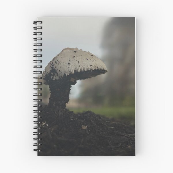 Item preview, Mushroom growth designed and sold by Baulmonart.