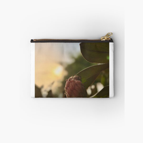 Item preview, Magnolia pod in golden hour designed and sold by Baulmonart.