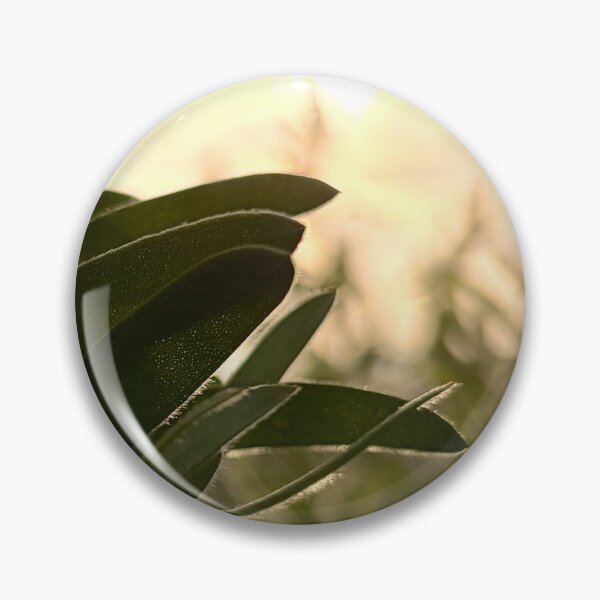 Item preview, plants during golden hour designed and sold by Baulmonart.