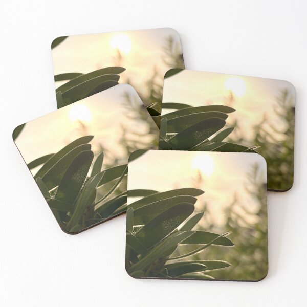 Item preview, plants during golden hour designed and sold by Baulmonart.