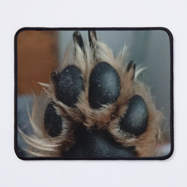 Item preview, paw from below grey black designed and sold by vibeno1.