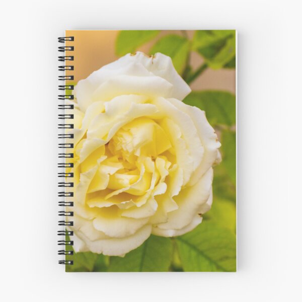 Item preview, Elegant Yellow Rose Blooming Amid Green Foliage, Soft Petals, and Romantic Floral Beauty designed and sold by Nmallia.