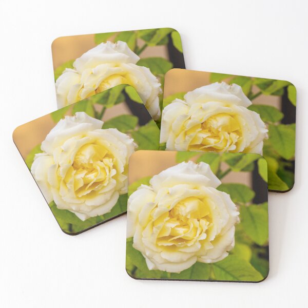 Item preview, Elegant Yellow Rose Blooming Amid Green Foliage, Soft Petals, and Romantic Floral Beauty designed and sold by Nmallia.