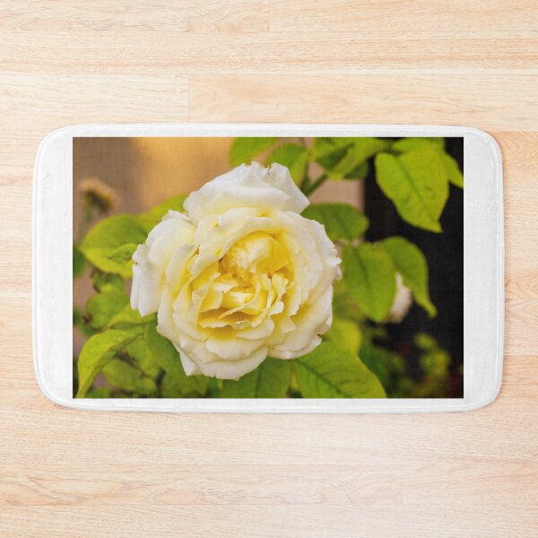 Item preview, Elegant Yellow Rose Blooming Amid Green Foliage, Soft Petals, and Romantic Floral Beauty designed and sold by Nmallia.