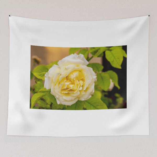 Item preview, Elegant Yellow Rose Blooming Amid Green Foliage, Soft Petals, and Romantic Floral Beauty designed and sold by Nmallia.