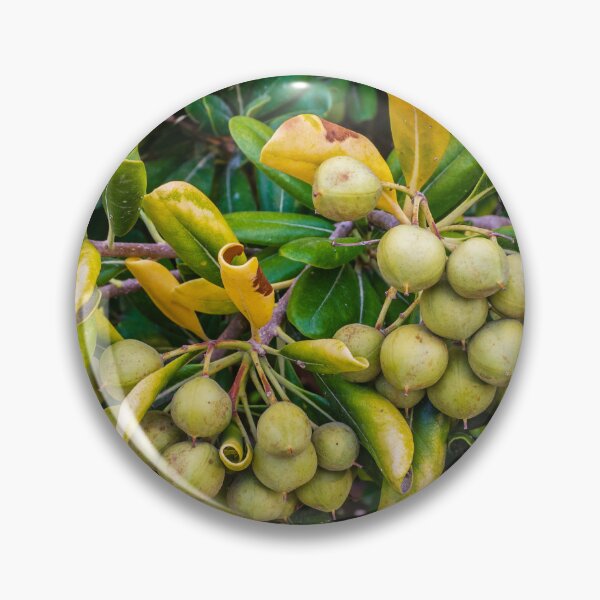 Item preview, Close-Up Of Green Berries On A Bush With Yellowing Leaves In A Garden designed and sold by Nmallia.