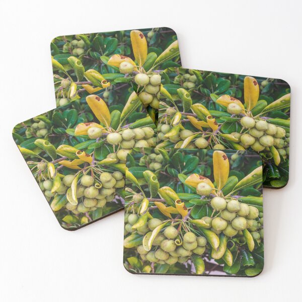 Item preview, Close-Up Of Green Berries On A Bush With Yellowing Leaves In A Garden designed and sold by Nmallia.