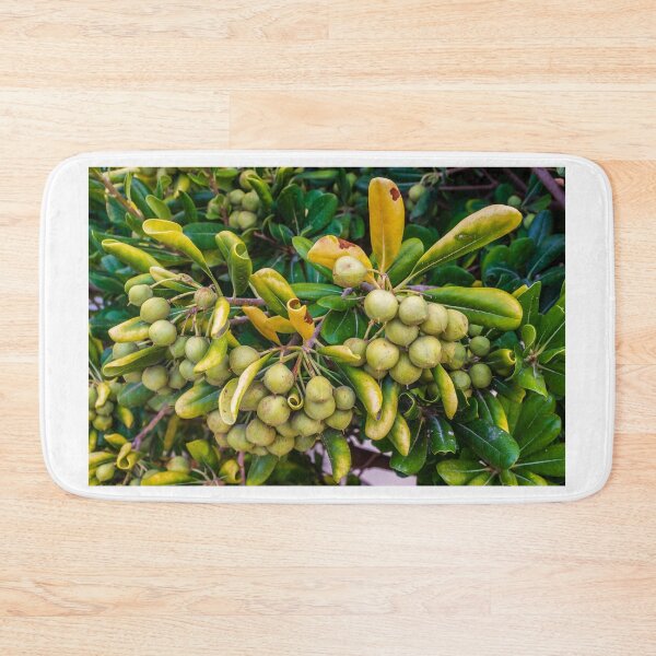 Item preview, Close-Up Of Green Berries On A Bush With Yellowing Leaves In A Garden designed and sold by Nmallia.