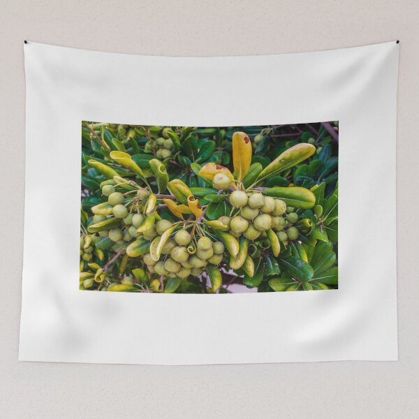 Item preview, Close-Up Of Green Berries On A Bush With Yellowing Leaves In A Garden designed and sold by Nmallia.