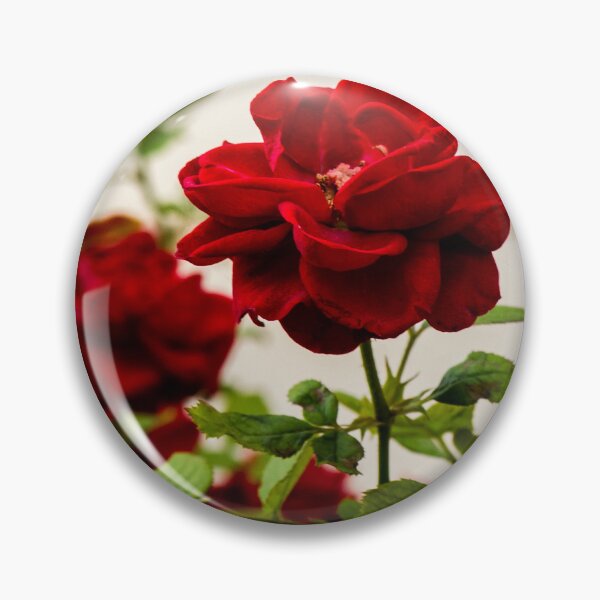 Item preview, Vibrant Red Rose Bloom with Lush Green Leaves in a Soft Focus Garden Setting designed and sold by Nmallia.