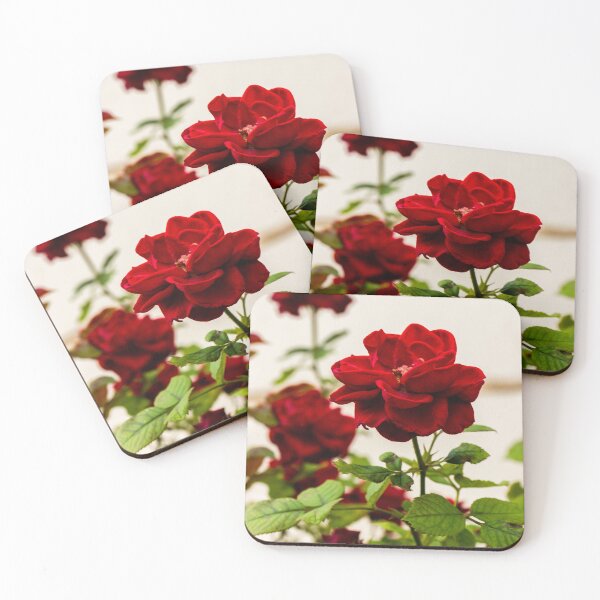 Item preview, Vibrant Red Rose Bloom with Lush Green Leaves in a Soft Focus Garden Setting designed and sold by Nmallia.
