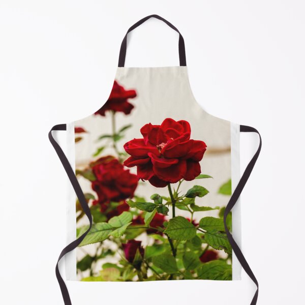 Item preview, Vibrant Red Rose Bloom with Lush Green Leaves in a Soft Focus Garden Setting designed and sold by Nmallia.
