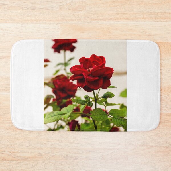 Item preview, Vibrant Red Rose Bloom with Lush Green Leaves in a Soft Focus Garden Setting designed and sold by Nmallia.