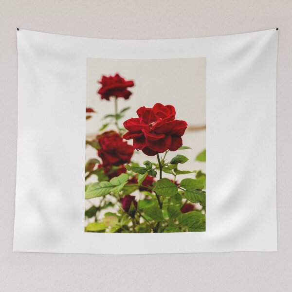 Item preview, Vibrant Red Rose Bloom with Lush Green Leaves in a Soft Focus Garden Setting designed and sold by Nmallia.