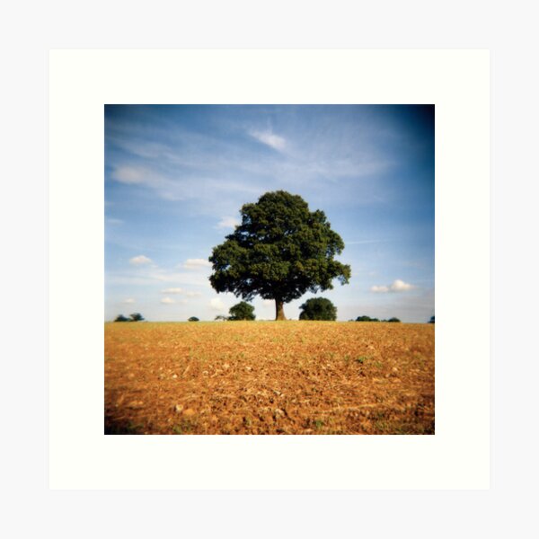 Item preview, Tree in a field designed and sold by fotoshoota.