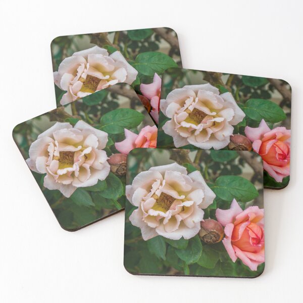 Item preview, Soft Pink Rose Bloom With Delicate Petals in Garden Setting designed and sold by Nmallia.