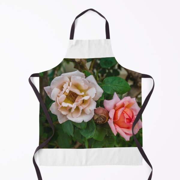 Item preview, Soft Pink Rose Bloom With Delicate Petals in Garden Setting designed and sold by Nmallia.