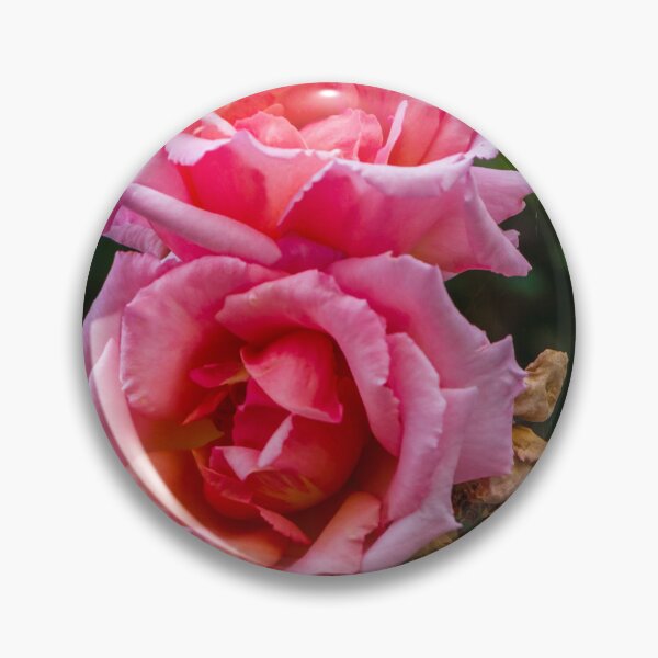 Item preview, Soft Pink Rose Bloom With Delicate Petals in Garden Setting designed and sold by Nmallia.